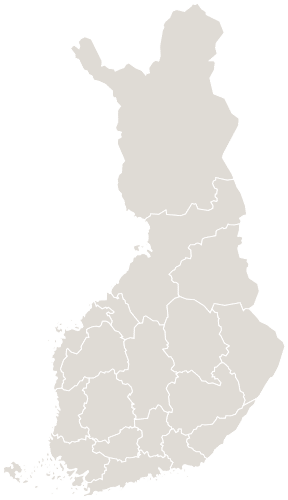 RGIS Finland